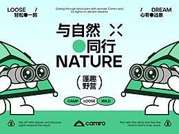 IP设计