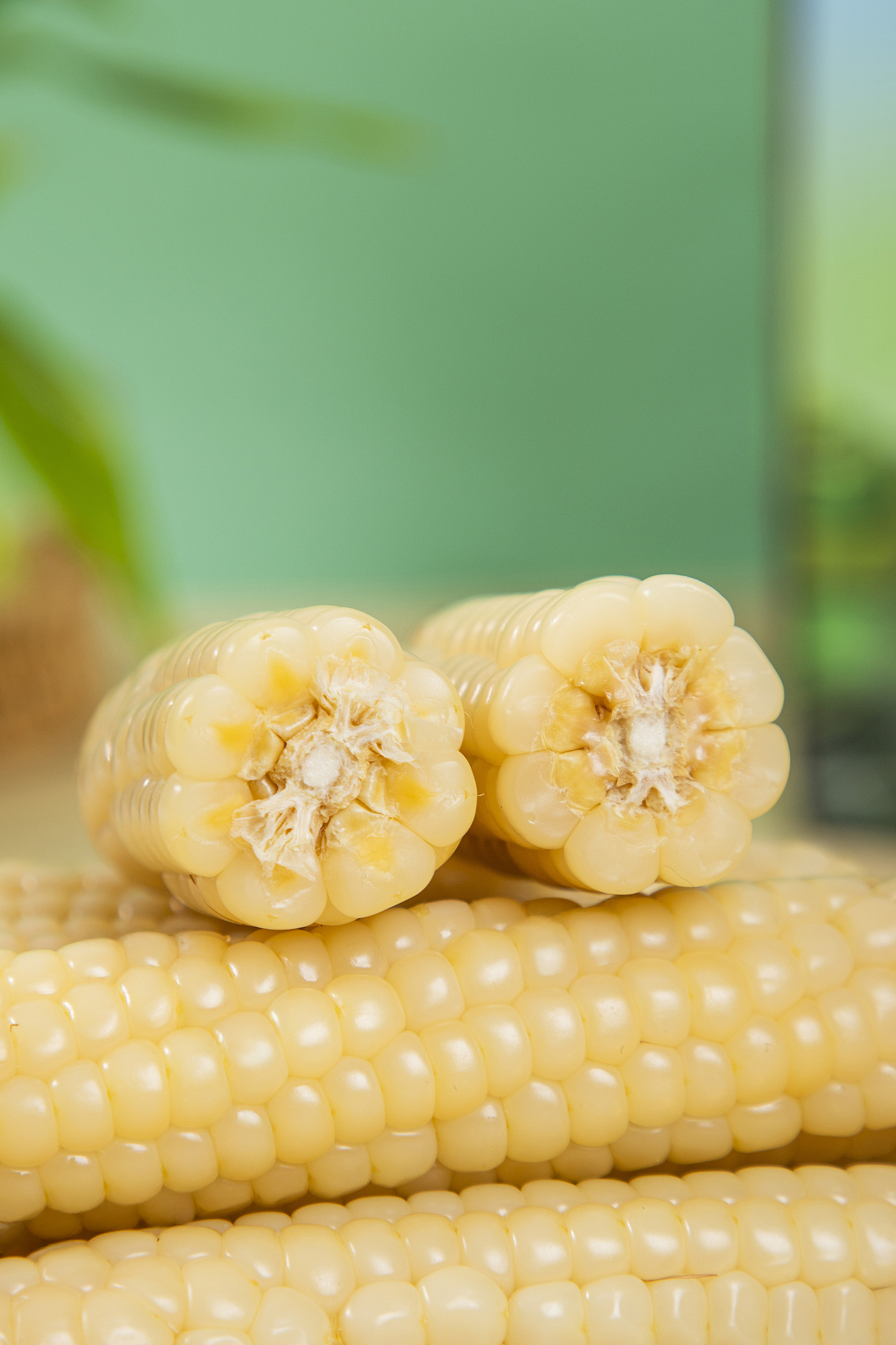 有间|天沐农蜜西双版纳拇指小玉米（图ZMzkyNzU1NTM2） - 产品摄影 - 站酷设计师有间图片社原创素材 - 站酷ZCOOL