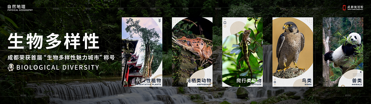 生物多样性-文化馆UI（图ZMzkyNzU2NzA4） - 交互/UE - 站酷设计师米海米原创素材 - 站酷ZCOOL