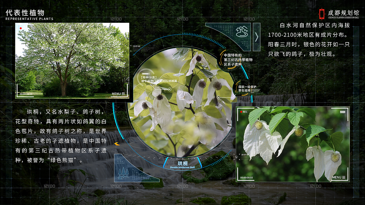 生物多样性-文化馆UI（图ZMzkyNzU2NzQw） - 交互/UE - 站酷设计师米海米原创素材 - 站酷ZCOOL