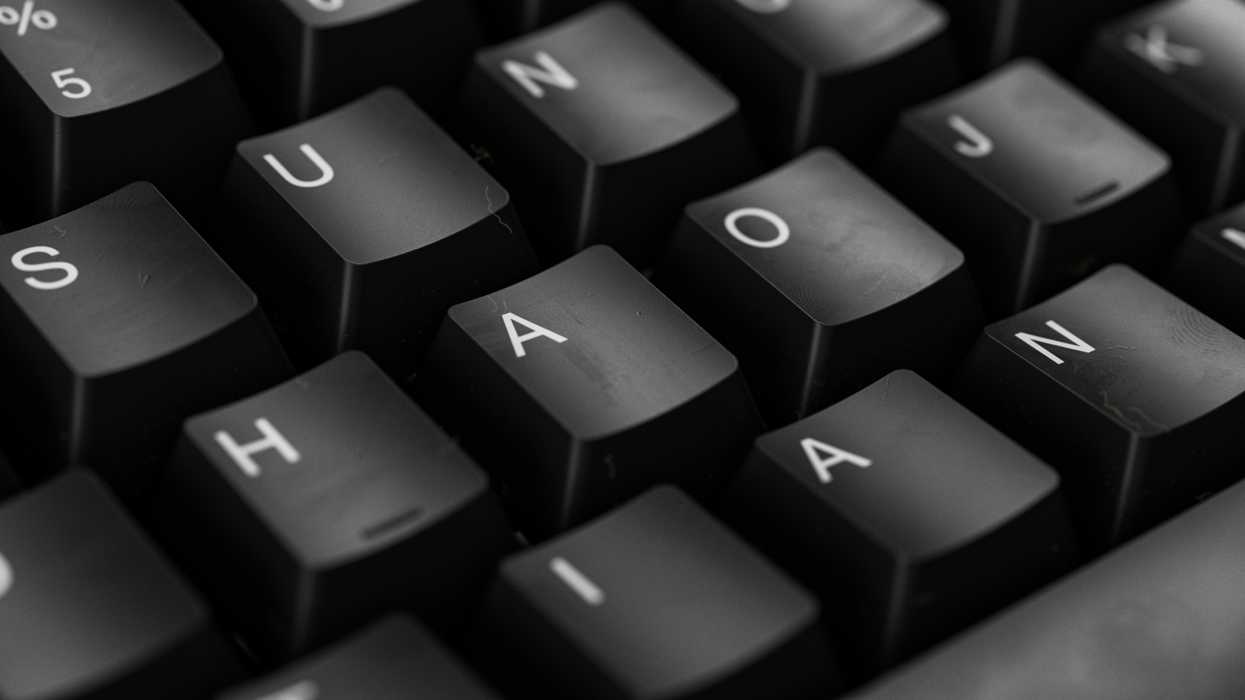 SHTian的個(gè)人主頁（封面預(yù)覽） - 主頁封面設(shè)置 - 站酷設(shè)計(jì)師SHTian原創(chuàng)素材 - 站酷ZCOOL