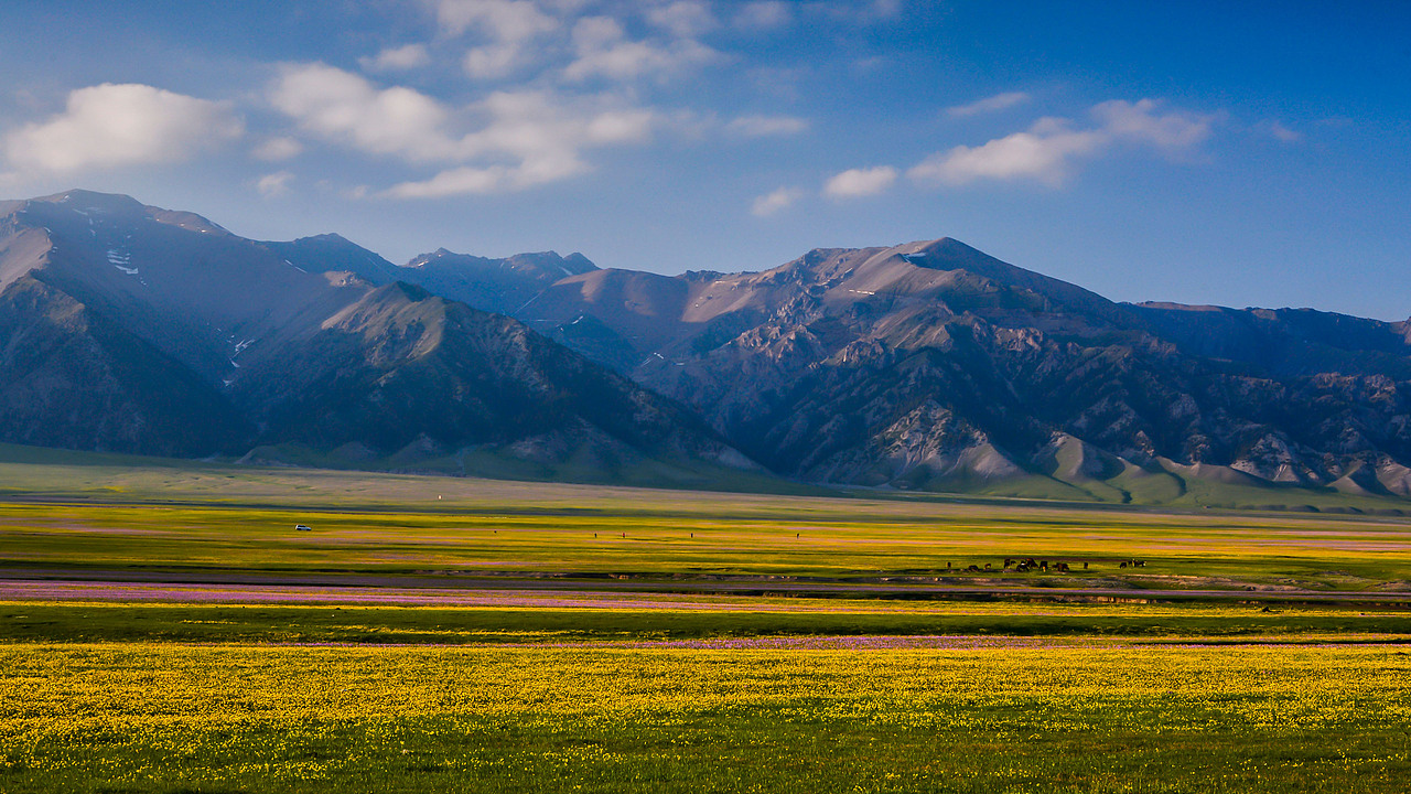 赛里木湖初夏风光