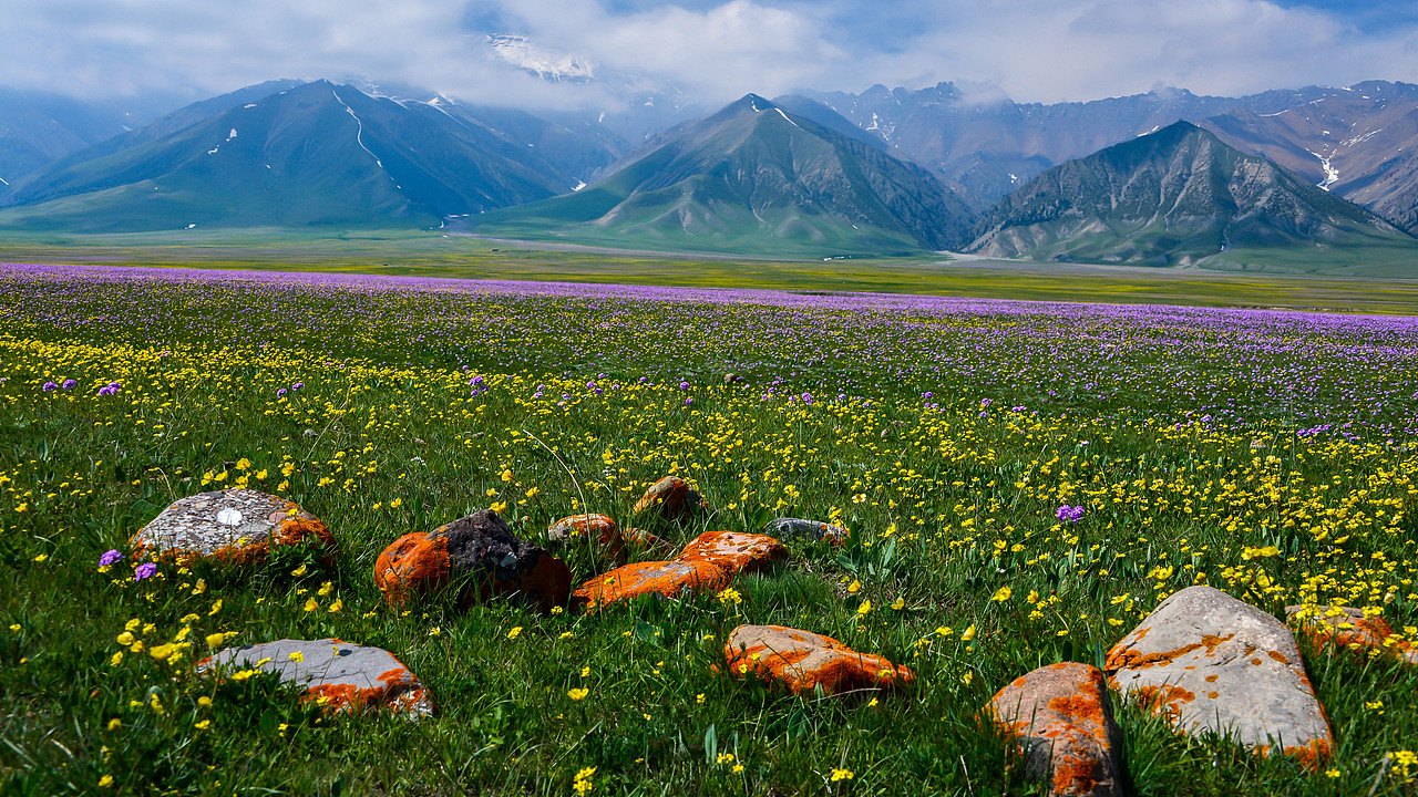 赛里木湖初夏风光