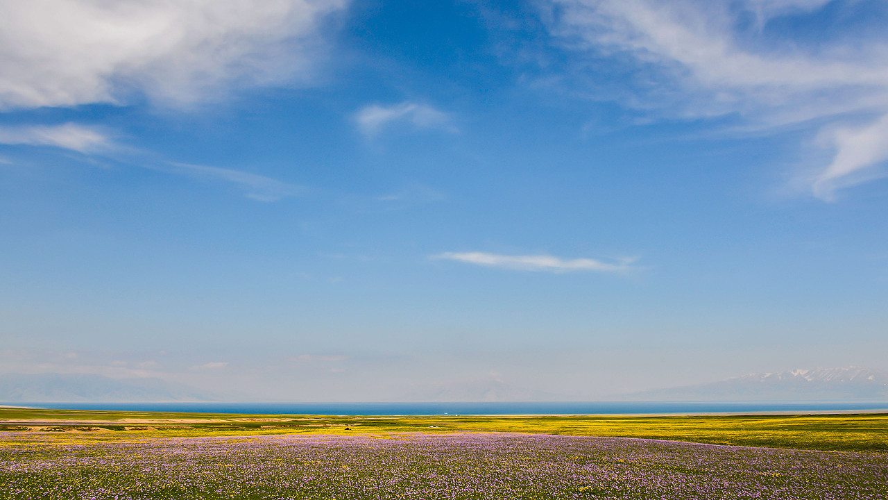 赛里木湖初夏风光