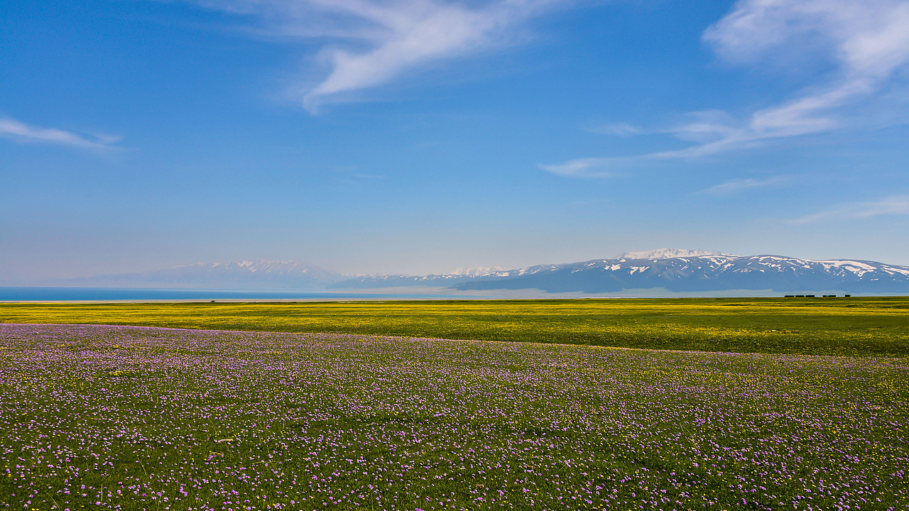 赛里木湖初夏风光