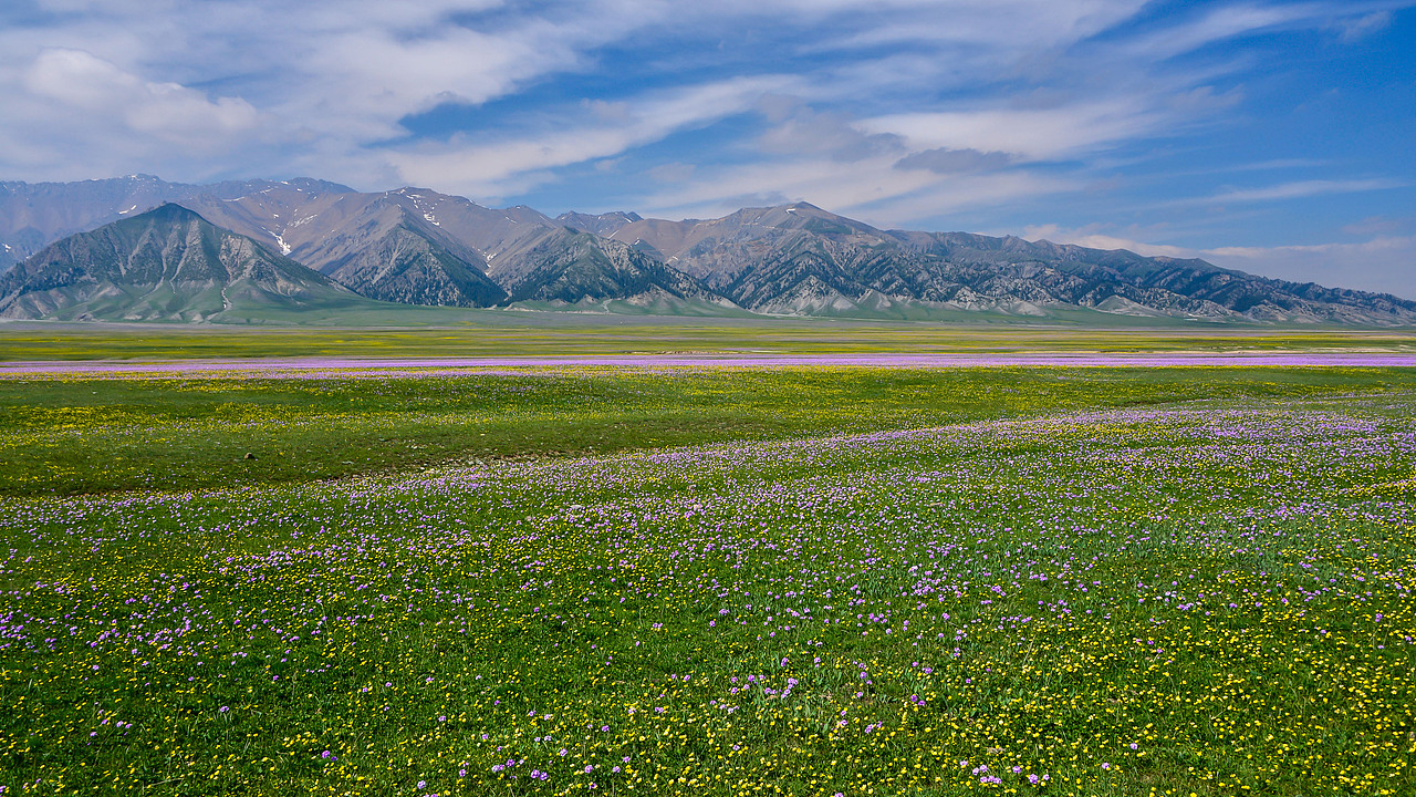 赛里木湖初夏风光