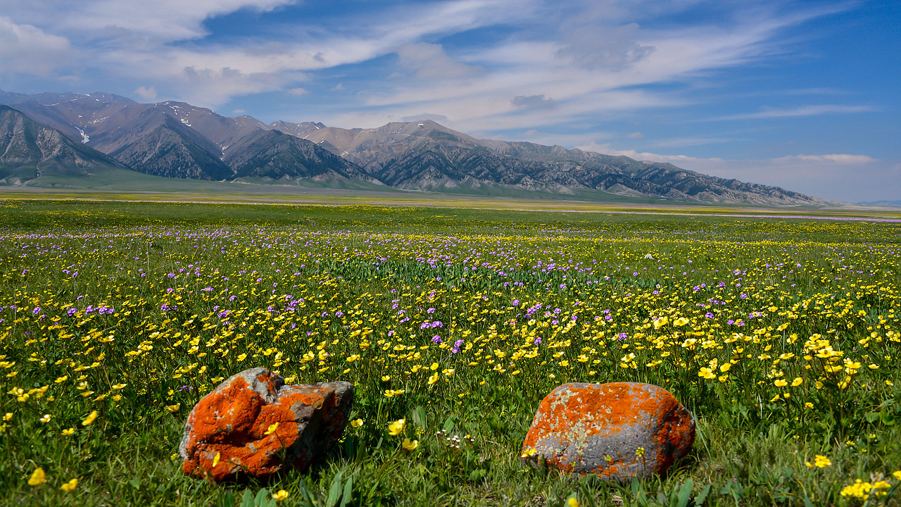 赛里木湖初夏风光