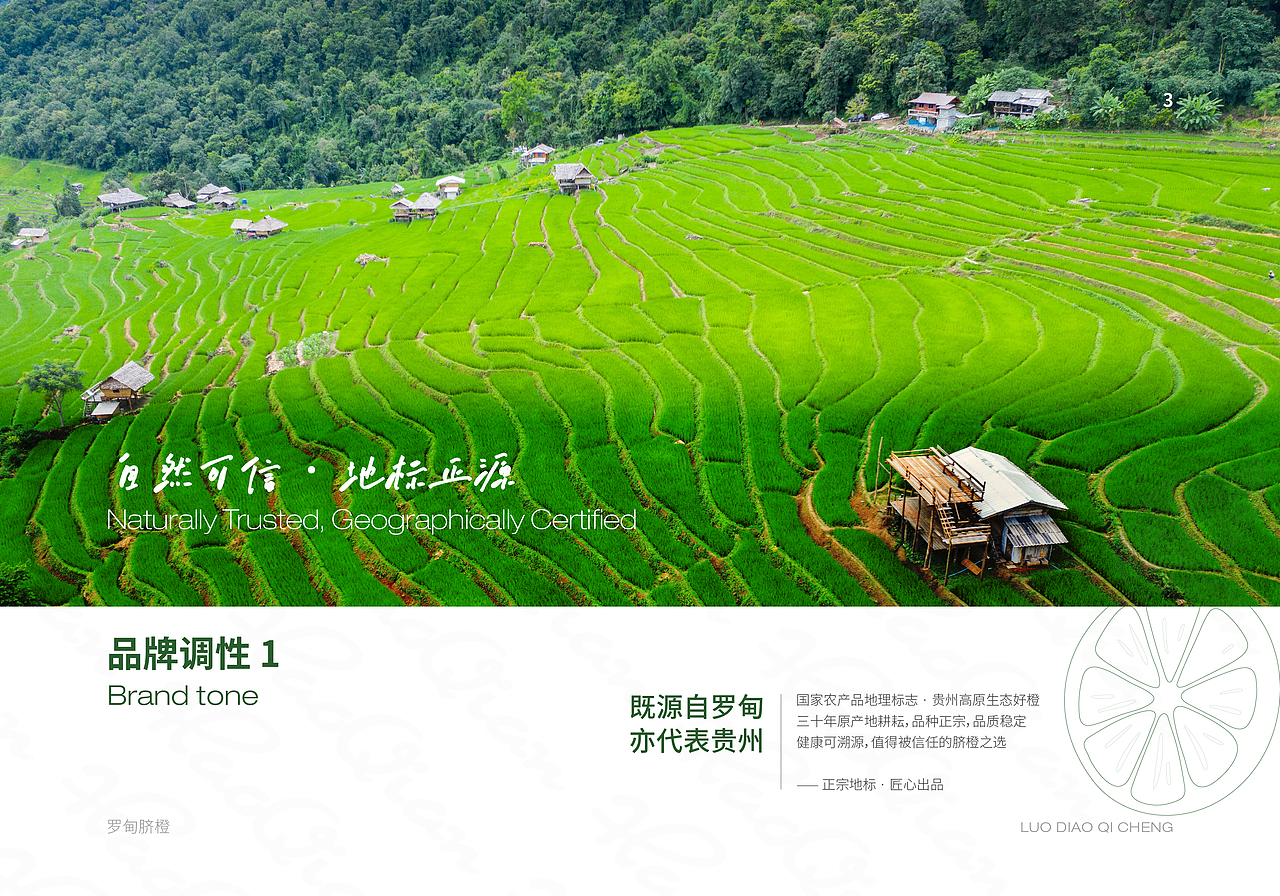 水果基础VI手册（图ZMzkyNzgxNDY4） - 品牌 - 站酷设计师莫莫Angel原创素材 - 站酷ZCOOL