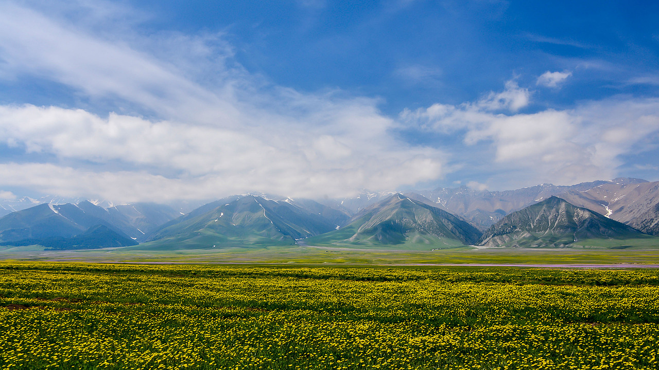 赛里木湖初夏风光