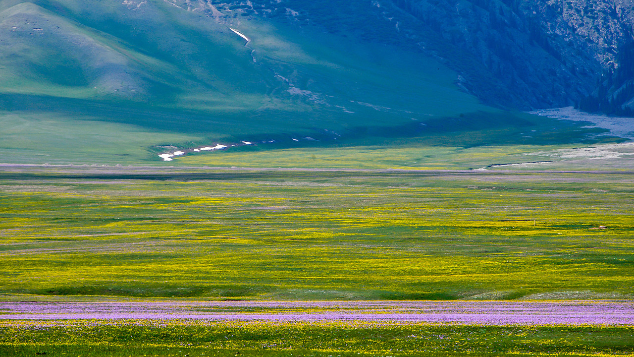 赛里木湖初夏风光