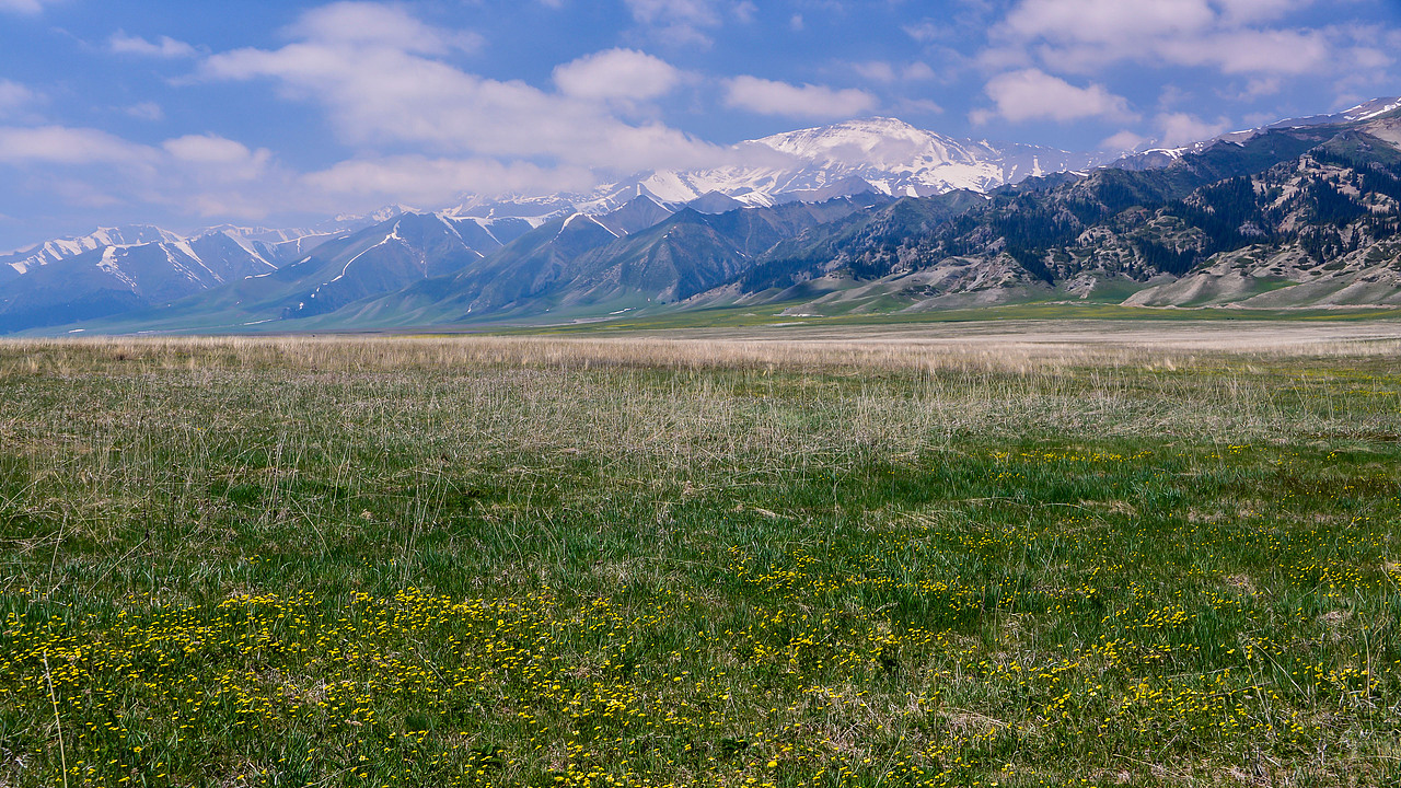 赛里木湖初夏风光