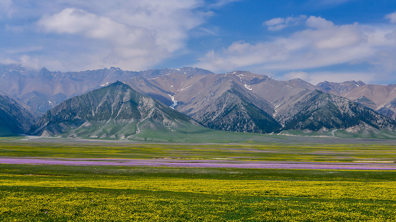 赛里木湖初夏风光