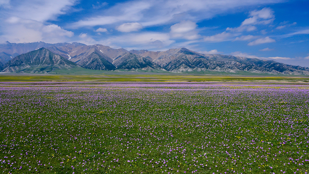 赛里木湖初夏风光