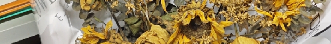 XxBigpig的個人主頁（封面預(yù)覽） - 主頁封面設(shè)置 - 站酷設(shè)計師XxBigpig原創(chuàng)素材 - 站酷ZCOOL