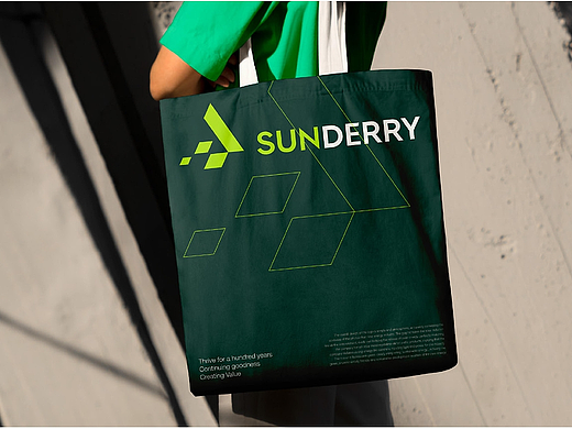 JINGY STUDIO✖SUNDERRY｜兴德利新能源LOGO设计