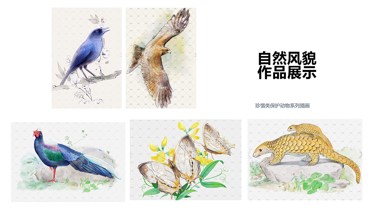 数字绘画作品集（DC）（图ZMzkyODE0MDgw） - 艺术插画 - 站酷设计师DC_painter原创素材 - 站酷ZCOOL