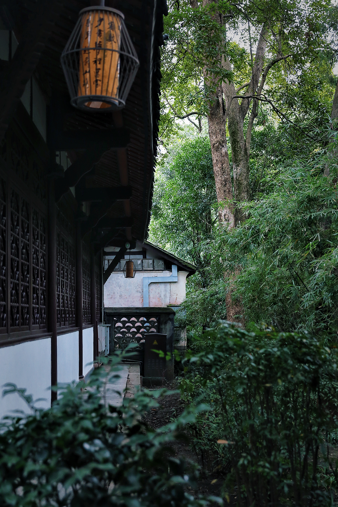 翠竹微风岸-杜甫草堂