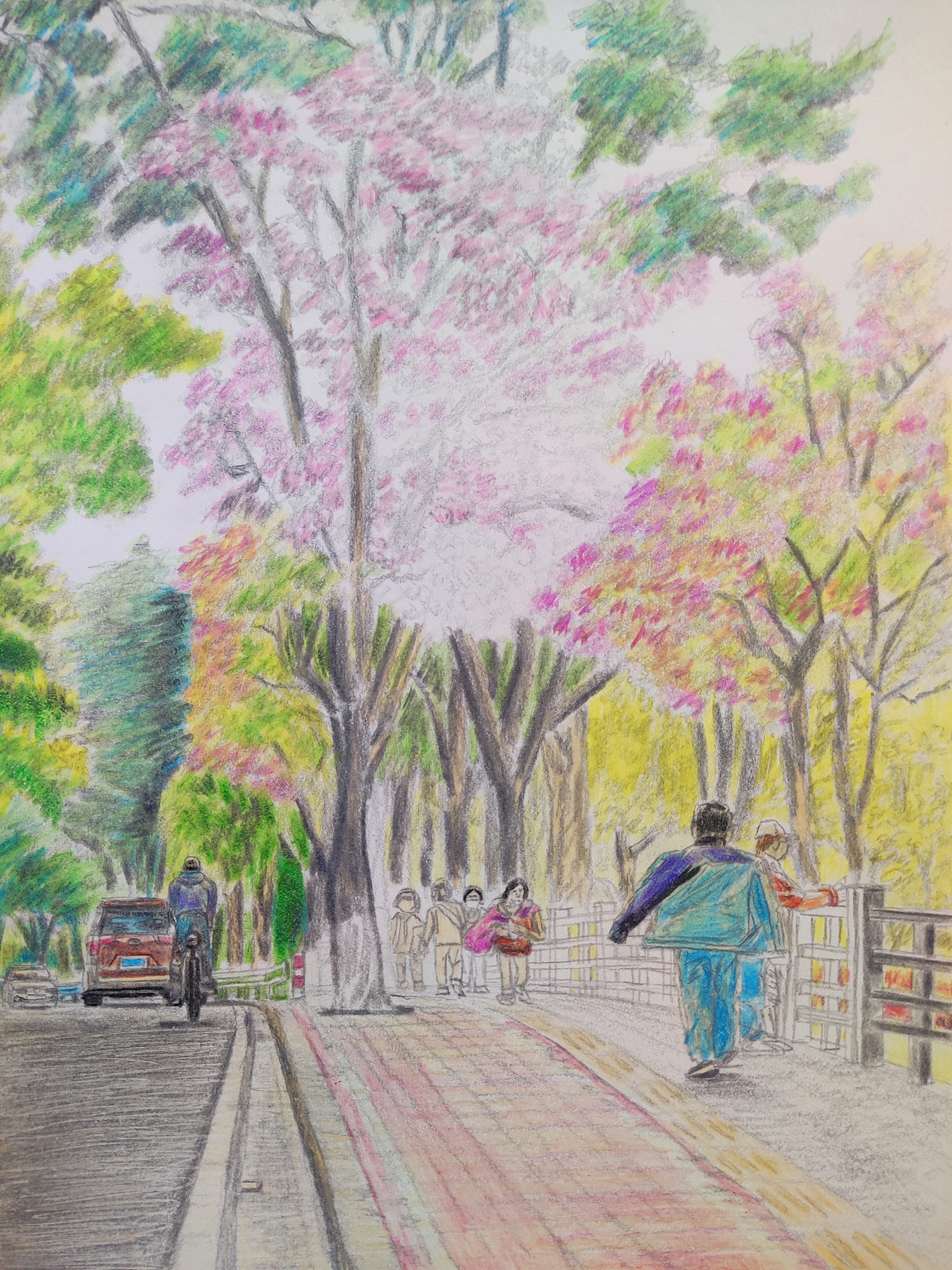 20250309｜麓湖公园步行道盛开的紫荆花（图ZMzkyODM0ODgw） - 创作习作 - 站酷设计师汤俊文MRTJW原创素材 - 站酷ZCOOL