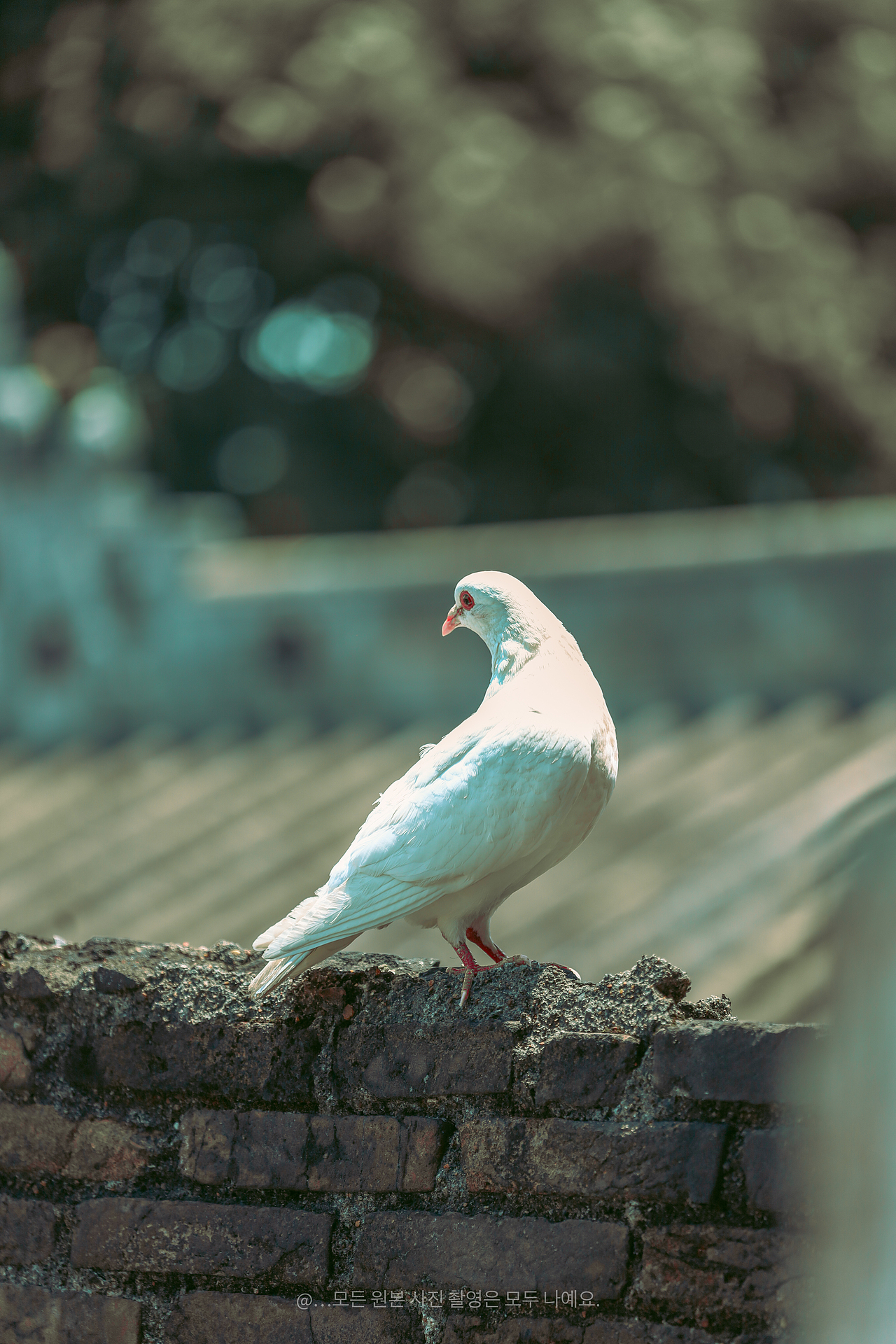 🏺南风古灶游玩全攻略，解锁古韵新体验！（图ZMzkyODQ0NTQw） - 风光摄影 - 站酷设计师无声无故原创素材 - 站酷ZCOOL
