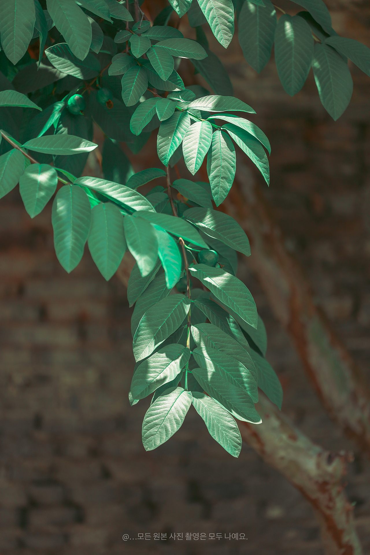 🏺南风古灶游玩全攻略，解锁古韵新体验！（图ZMzkyODQ0NTYw） - 风光摄影 - 站酷设计师无声无故原创素材 - 站酷ZCOOL