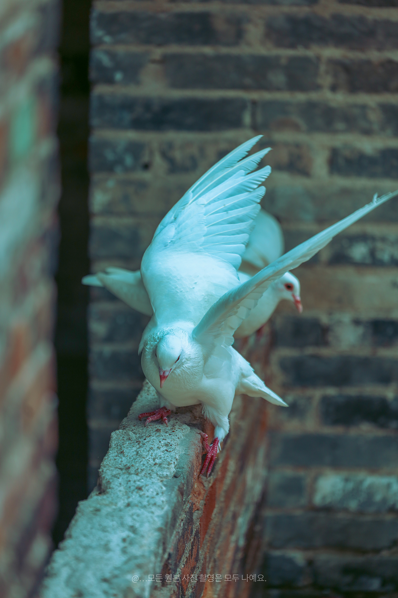 🏺南风古灶游玩全攻略，解锁古韵新体验！（图ZMzkyODQ0NTU2） - 风光摄影 - 站酷设计师无声无故原创素材 - 站酷ZCOOL