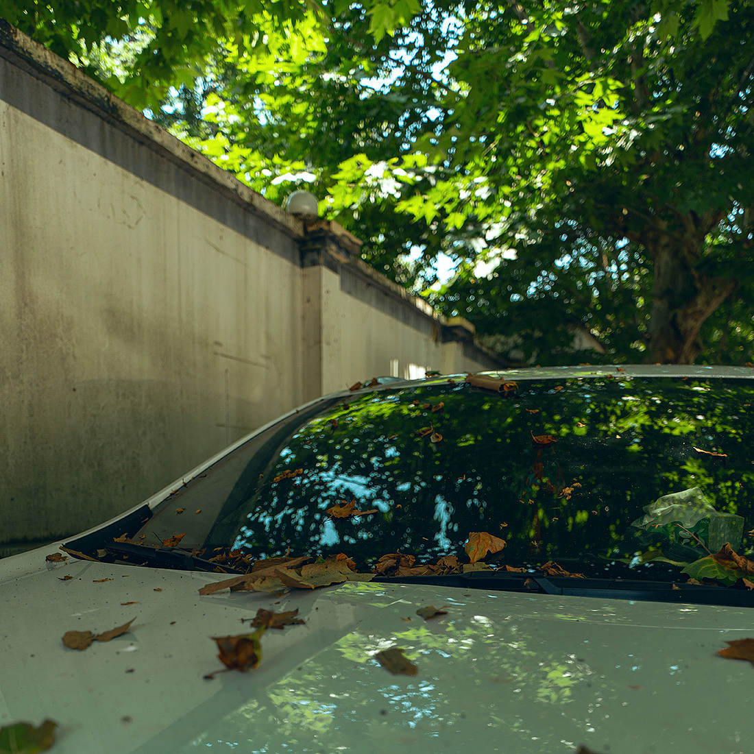 皇城根儿（图ZMzkyODQ2MjYw） - 人文/纪实摄影 - 站酷设计师摄影师古舟原创素材 - 站酷ZCOOL