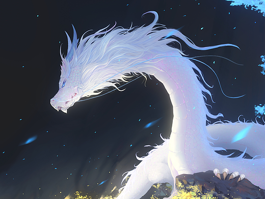 白龙