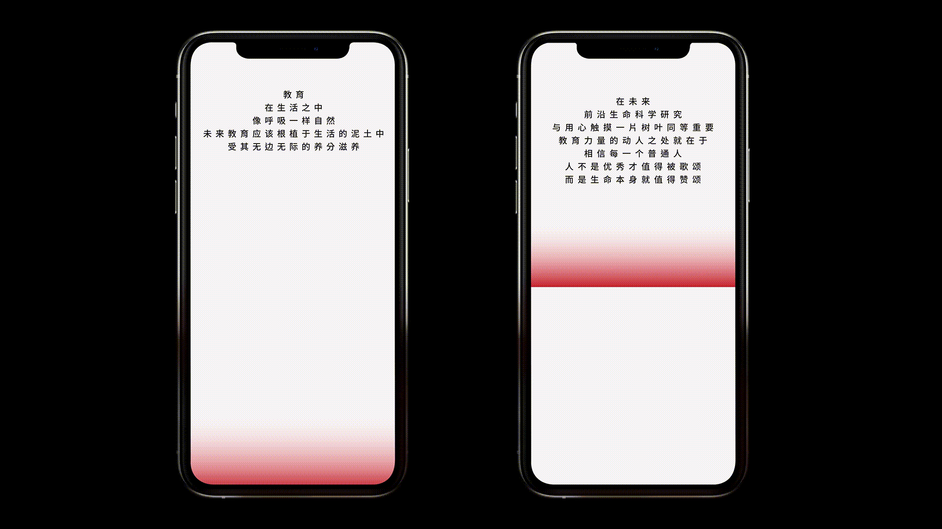 活动视觉 | 陈一丹基金会2024新年献词