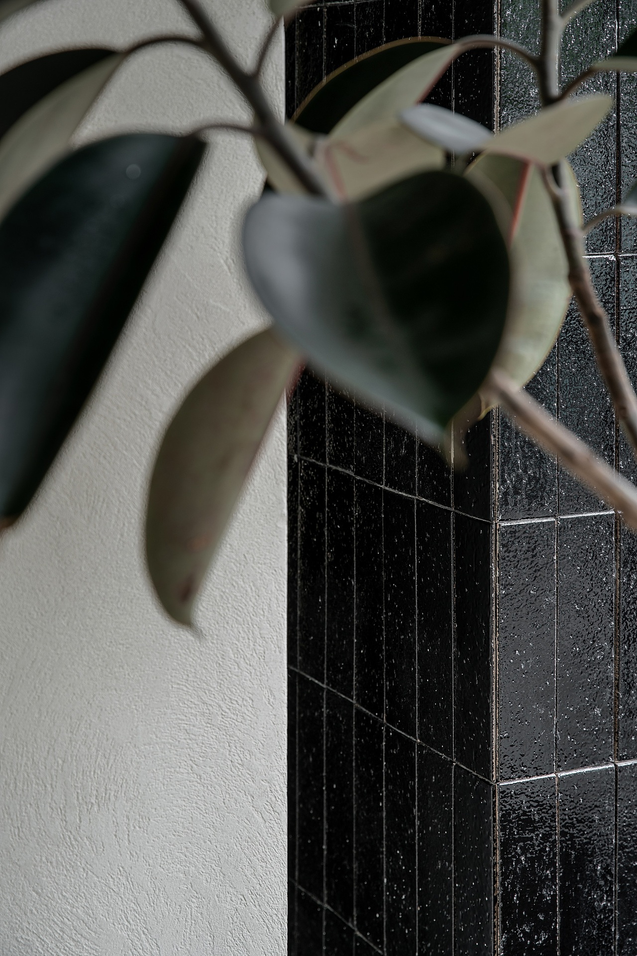 GeemoDesign治木设计 ｜ Teatales 坐茶2.0（图ZMzkyOTAzNTEy） - 商业空间设计 - 站酷设计师geemodesign原创素材 - 站酷ZCOOL