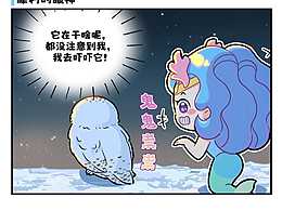 为何雪鸮捕猎如此厉害？﻿ 