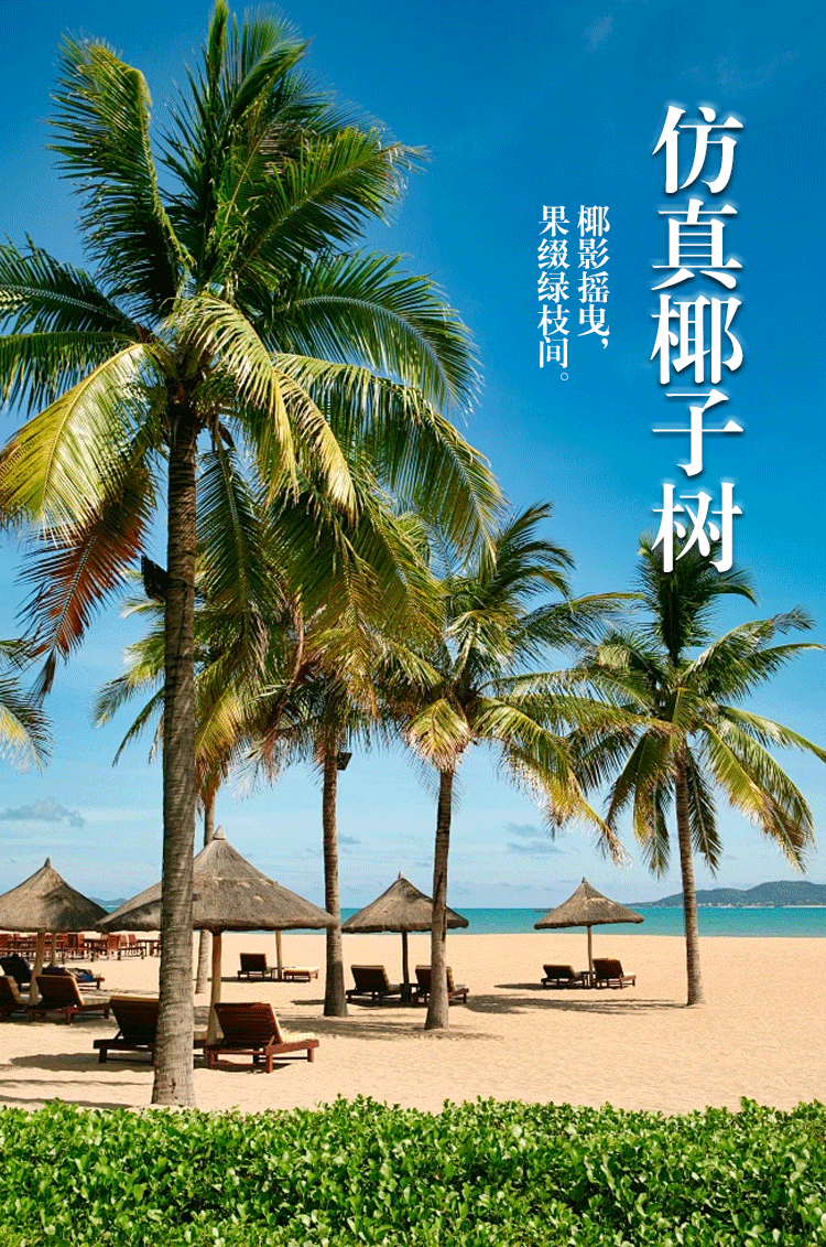 仿真椰子树详情页
