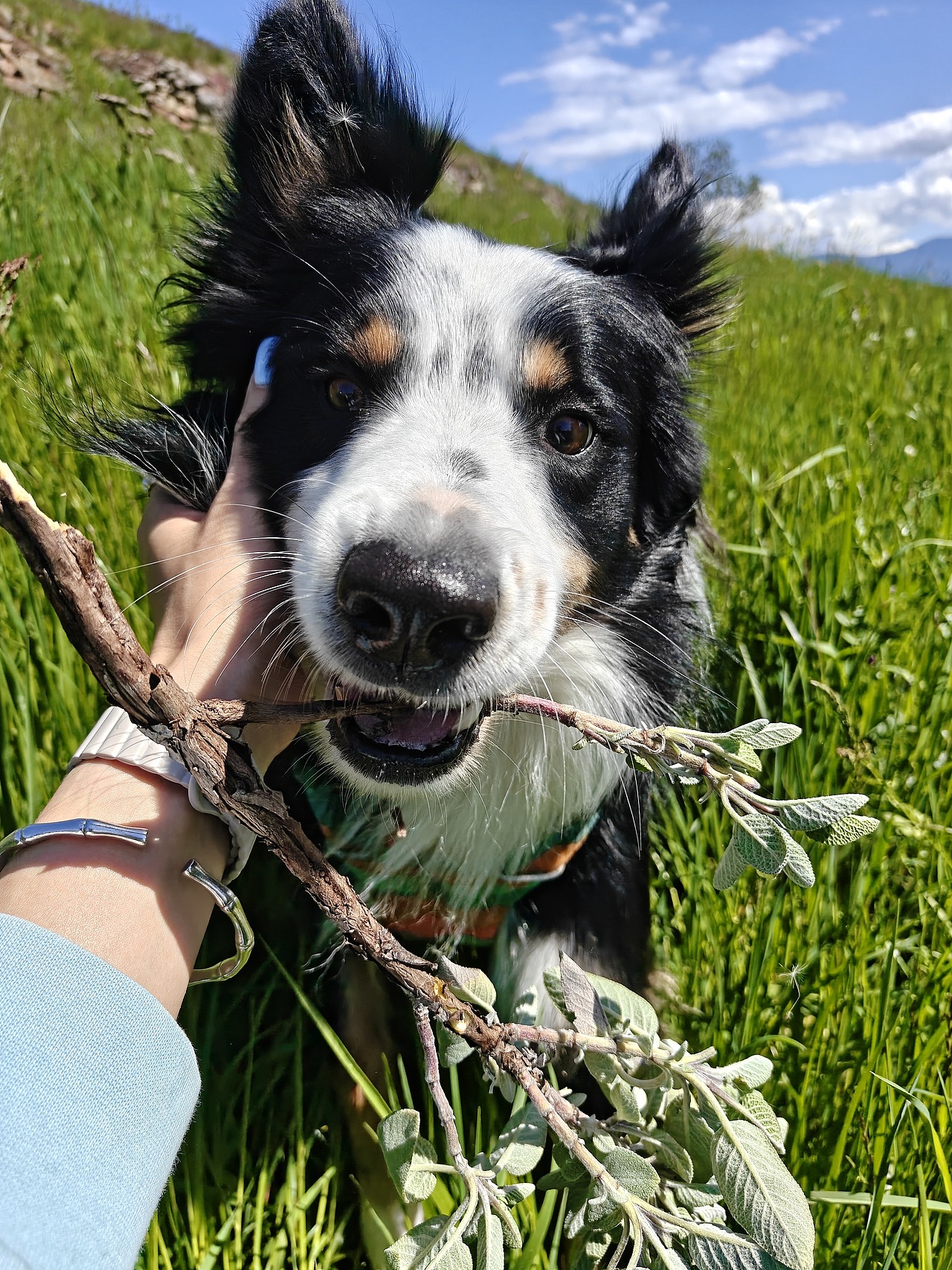 群像高光时刻 ｜ 手机样张作品（图ZMzkyOTE4MzA0） - 人像摄影 - 站酷设计师yangdenise原创素材 - 站酷ZCOOL