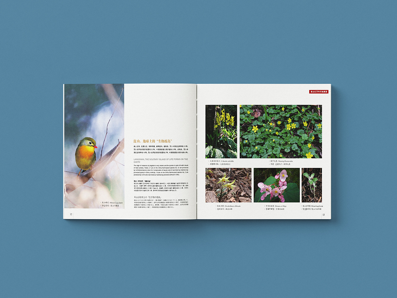 崀漫崀山（图ZMzkyOTE4OTg0） - 书籍/画册 - 站酷设计师TVirusor原创素材 - 站酷ZCOOL