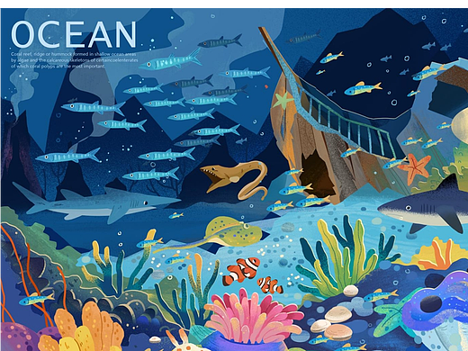 OCEAN