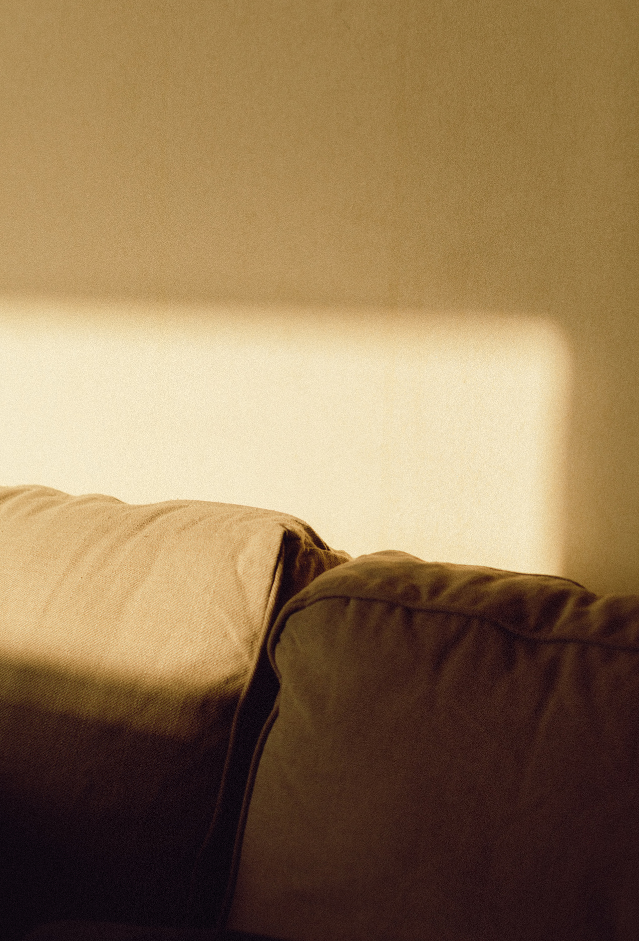 洒满阳光的小院