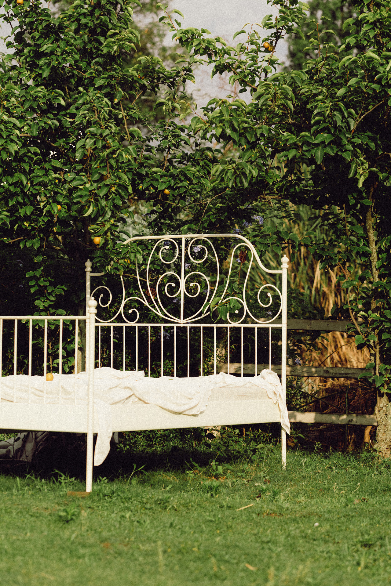 洒满阳光的小院