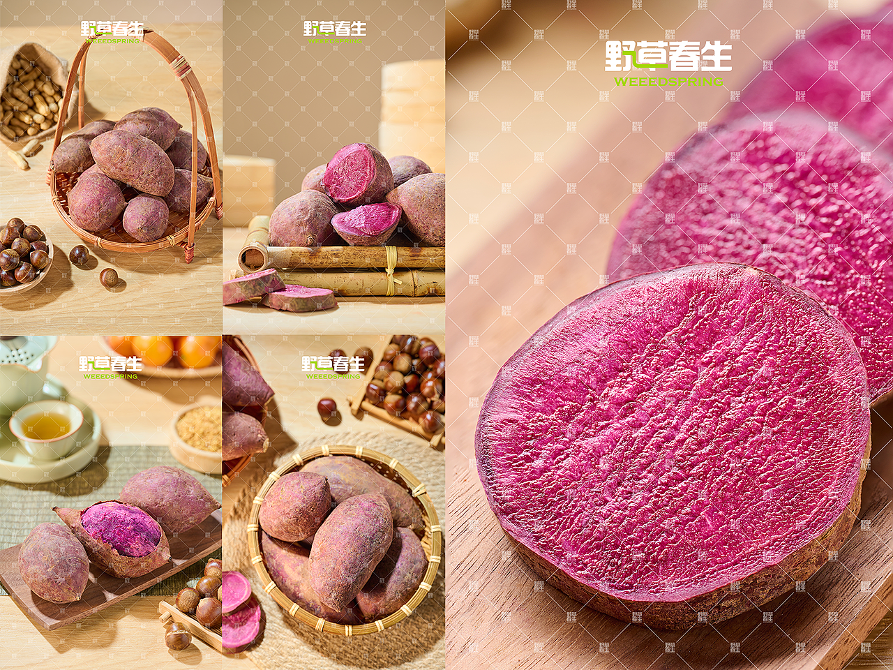 野草春生X紫薯摄影