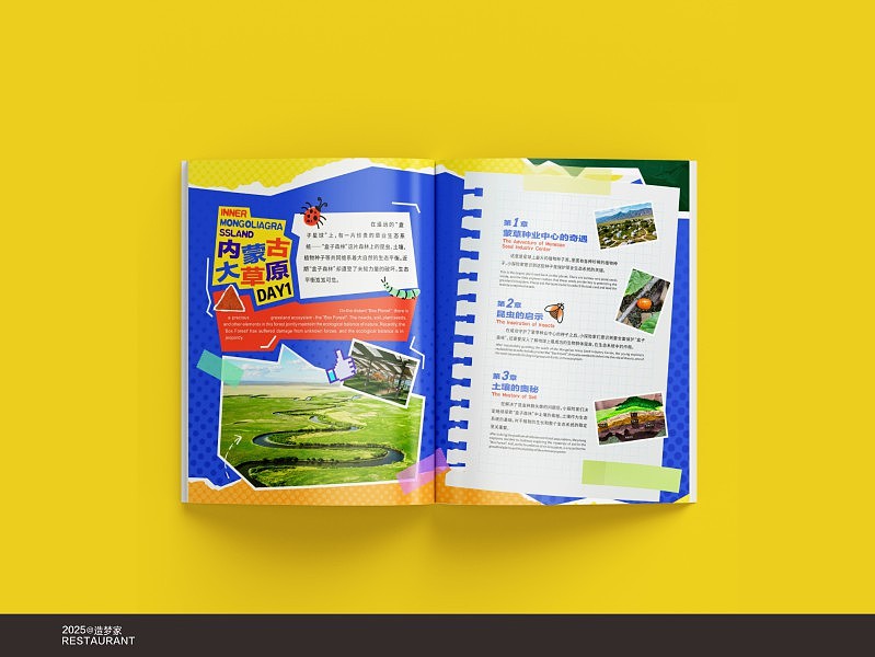 ✨【野生设计师の画册实验室】✨第三弹