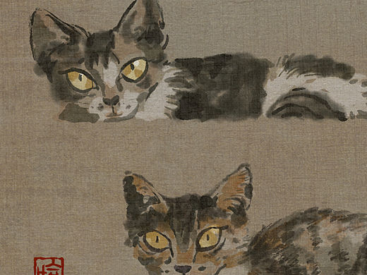 楼梯上的猫猫