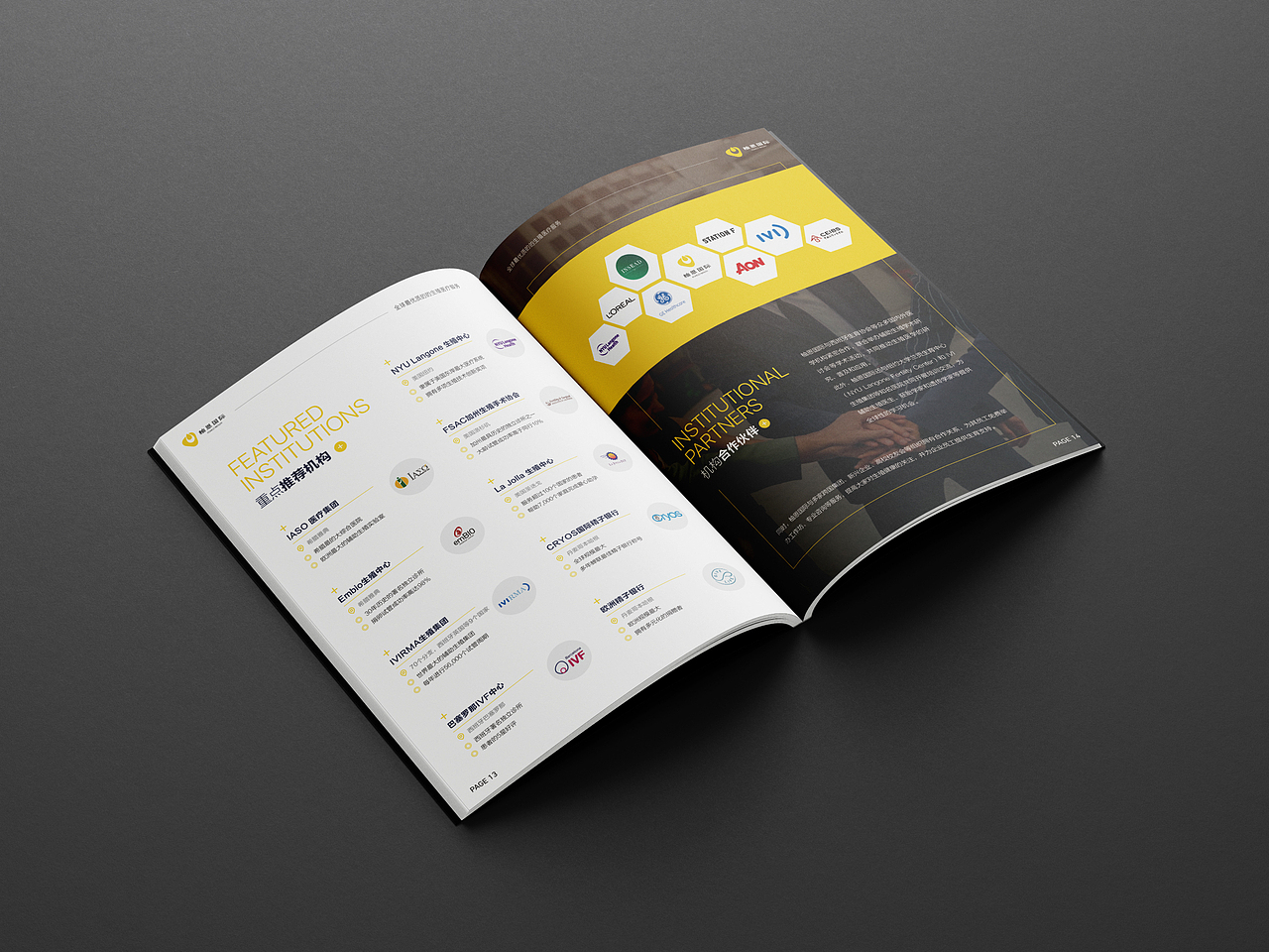 医疗类画册设计（图ZMzkyOTk4NTc2） - 书籍/画册 - 站酷设计师言色Yan原创素材 - 站酷ZCOOL