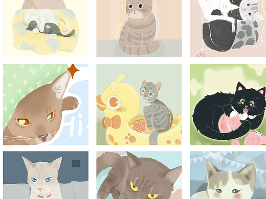 猫