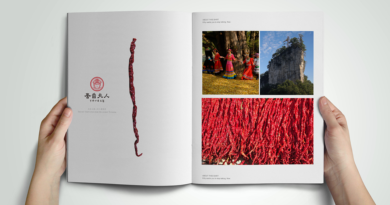 农产品logo及辣椒包装设计