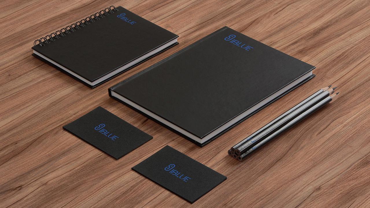 【IBLUE】保健品logo设计