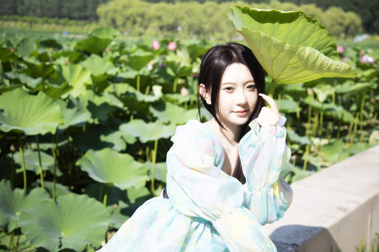 七月荷花宛如梦幻（图ZMzkzMDYwMTMy） - 人像摄影 - 站酷设计师夏天的蓝色皮卡丘原创素材 - 站酷ZCOOL