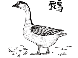 矢量版画 鹅