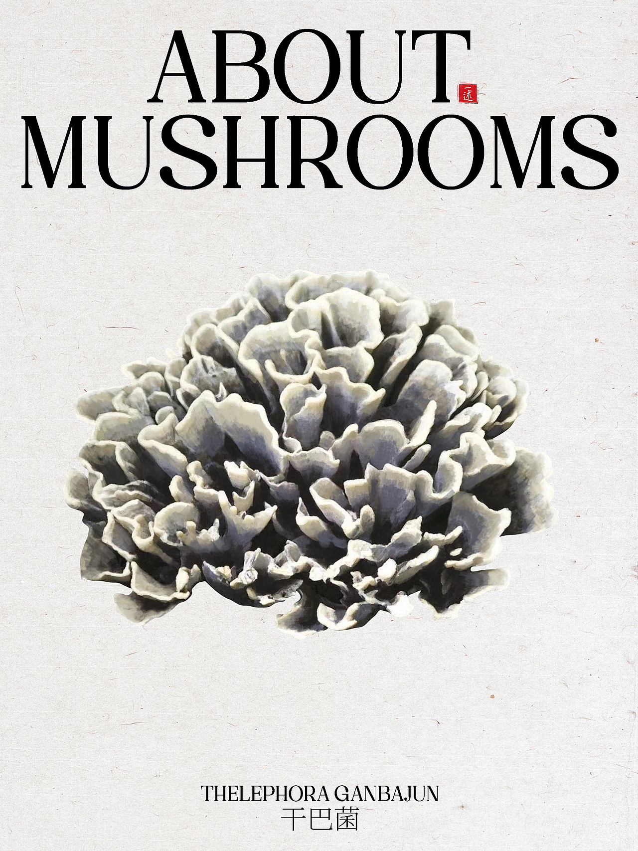 云南菌子标签插画