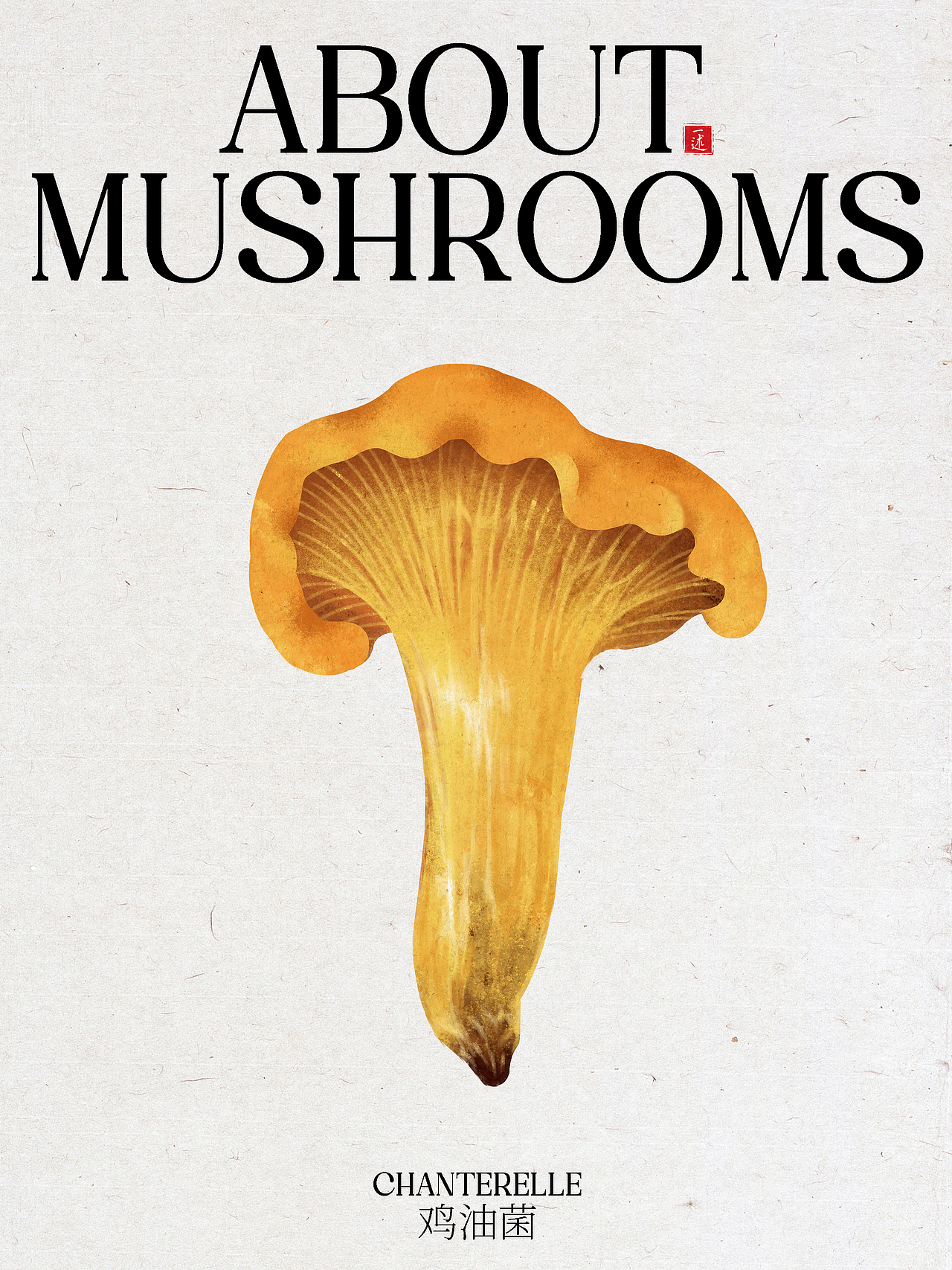 云南菌子标签插画