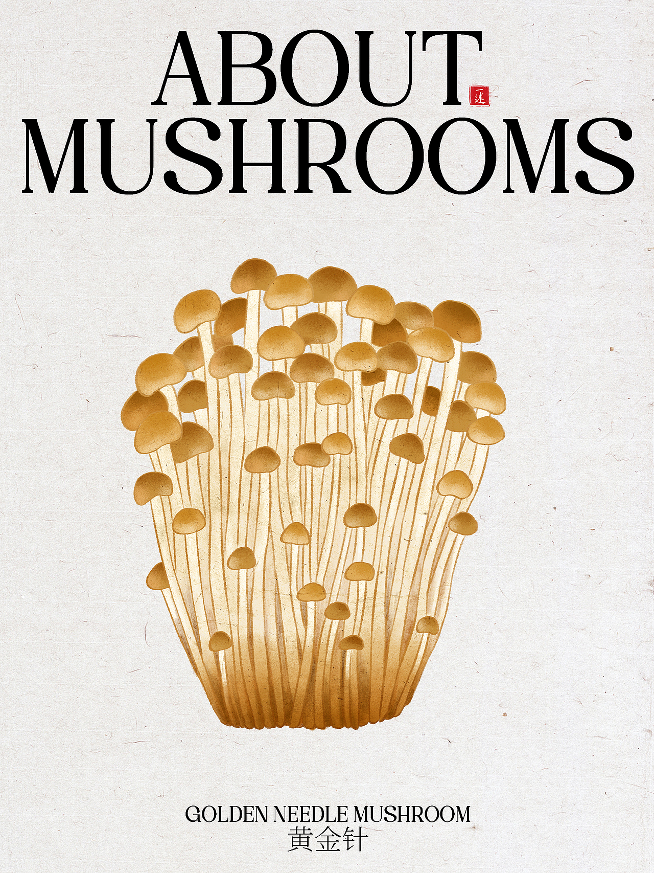 云南菌子标签插画