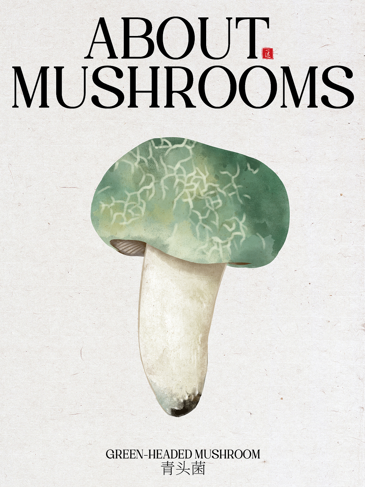 云南菌子标签插画