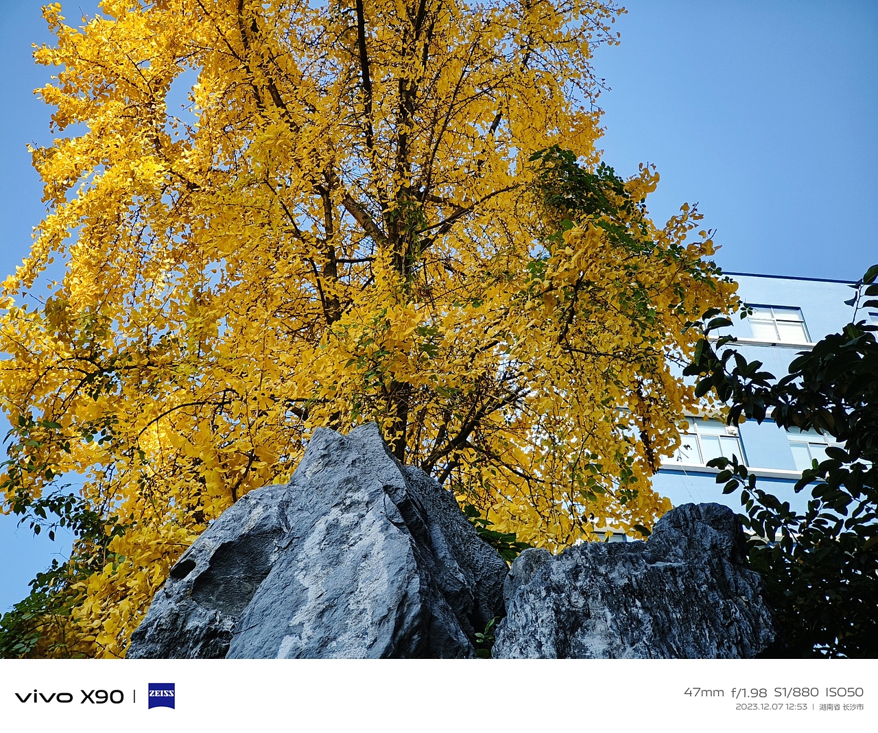 120周年校庆，以及《澄池》另一篇章的开启（图ZMzkzMDcwMjA0） - 书籍/画册 - 站酷设计师Ranko星叶泊原创素材 - 站酷ZCOOL